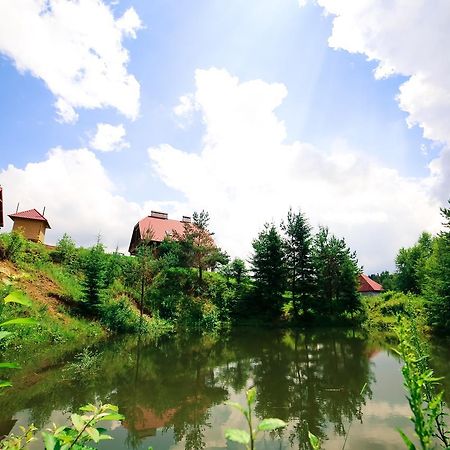 Villa Buhiv Skhidnytsia Экстерьер фото